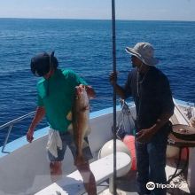汉普顿海滩图片