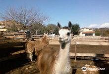 Ferme Zoo de Bouzigues景点图片