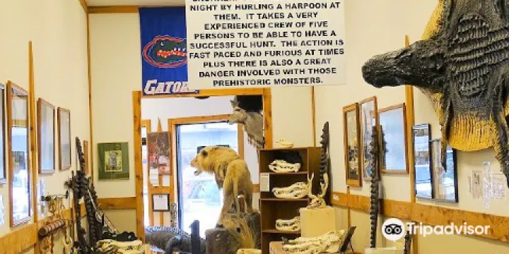 The Spear Hunting Museum