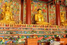 광덕사(종점)景点图片