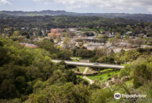 Stadium Park景点图片