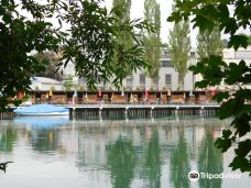 Rhybadi-沙夫豪森