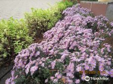 Park of Slavic Culture and Literature-顿涅茨克