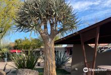 Carefree Desert Gardens景点图片