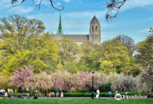布兰池布鲁克公园景点图片