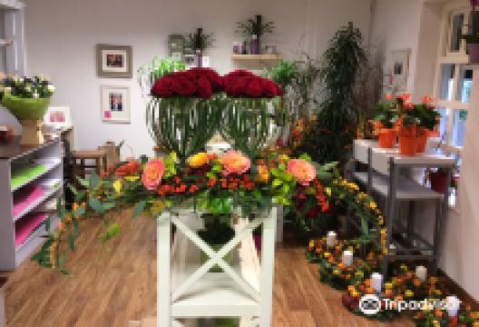 Ballycasey Craft and Design Centre景点图片