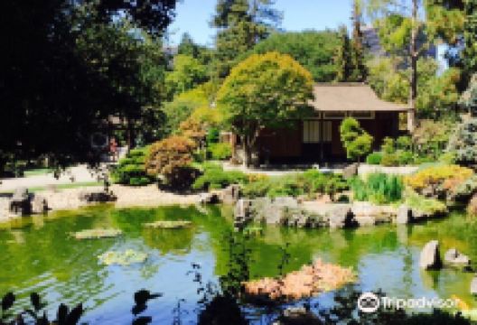 The San Mateo Japanese Garden景点图片