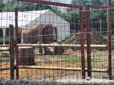 Kimba Elefánt Park-哲里区