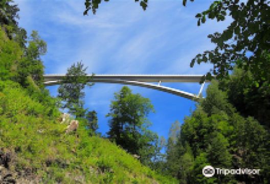 Taminabruecke景点图片