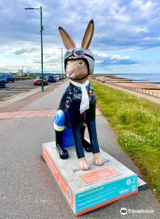 Aberdeen beach-阿伯丁