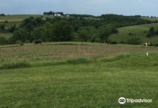 Nordic Creamery美食图片