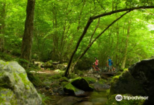 Trekkling购物图片