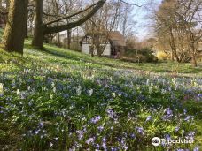 Alter Botanischer Garten-基尔