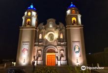 Catedral Nuestra Senora del Carmen y San Pedro Apostol景点图片