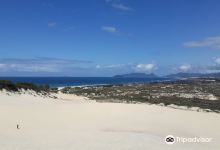 Dunes of Joaquina景点图片