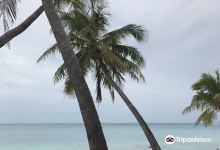 Fakarava Adventure景点图片