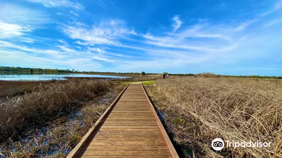 Cosumnes River Preserve