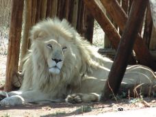 Predator World-Bojanala