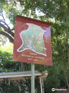 Botanical Gardens-Hospital Hill