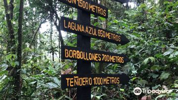 Parque Nacional Volcán Tenorio