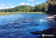 Meduxnekeag Valley Nature Preserve景点图片
