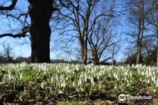 宁布鲁宫和花园-Beningbrough