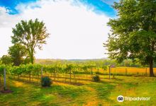 Lake Creek Winery景点图片