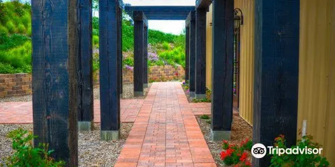 Hungry Hawk Vineyards