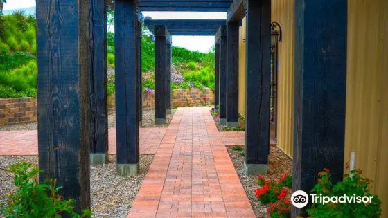 Hungry Hawk Vineyards