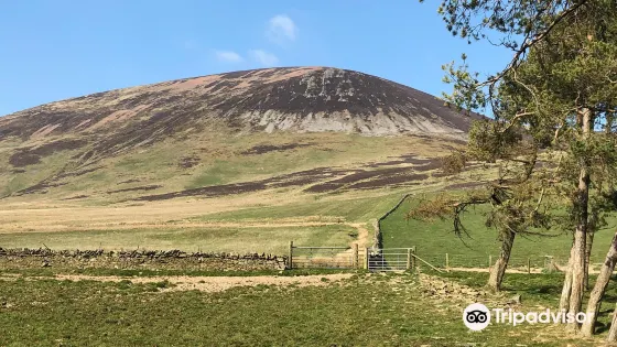 Tinto Hill