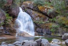 Ladies Bath Falls景点图片