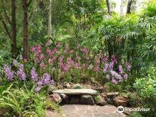 The Blooms Orchid Park-坡塔兰