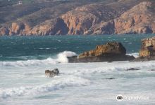 Praia Da Arriba景点图片