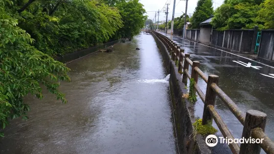 沢端川畔