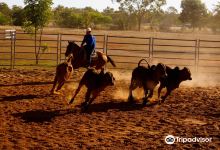 Katherine Outback Experience景点图片