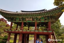 Cheongpung Cultural Complex景点图片