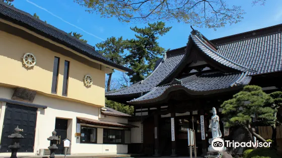 海向寺