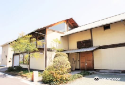 Talk Gallery Shion购物图片