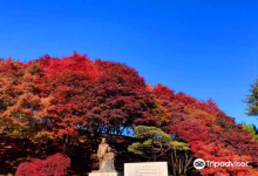 Bear Tree Park景点图片