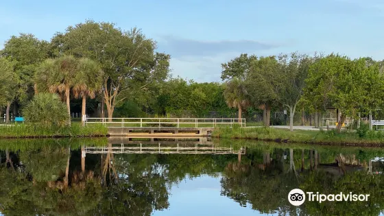 Ted Phillips Wood Ibis Park
