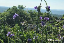 Mark Twain National Forest Supervisor's Office景点图片