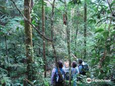 Amboro National Park-圣克鲁斯