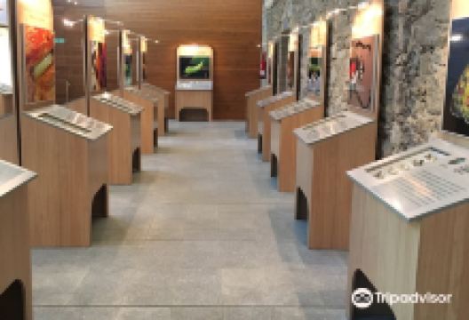 InsectPark景点图片