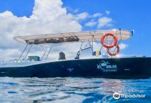 Romblon Fun Divers购物图片