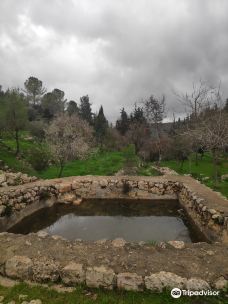 Begin Park-Harei Yehuda