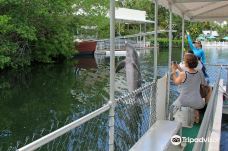 Theater of the Sea-伊斯拉莫拉达