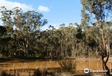 Seymour Bushland Park景点图片
