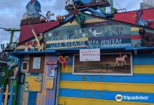 Hamtramck Disneyland景点图片