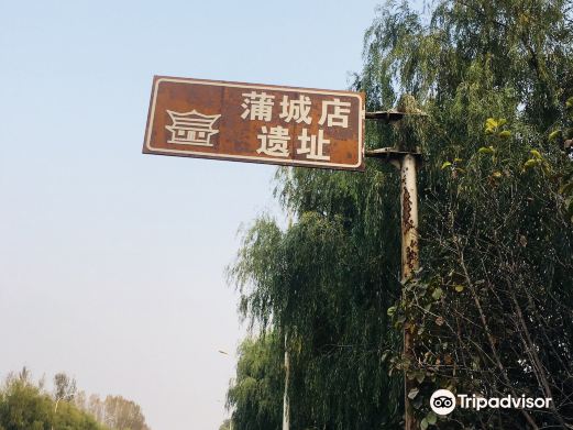 蒲城店遗址