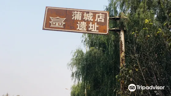 蒲城店遺址